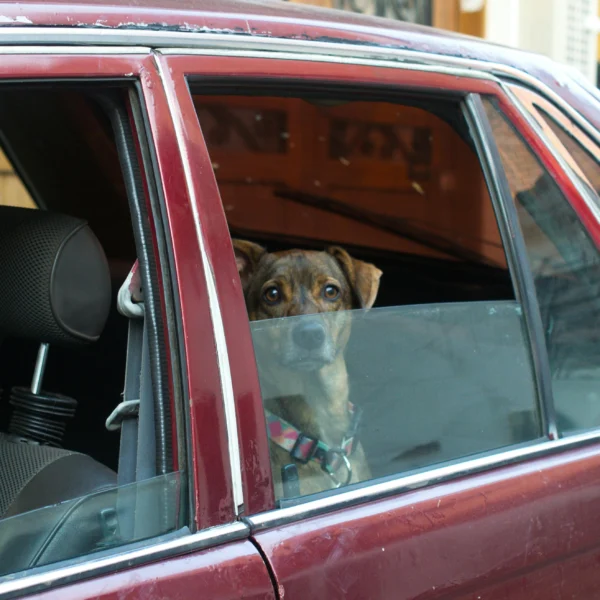 Auto kliimatäitmine Tartus